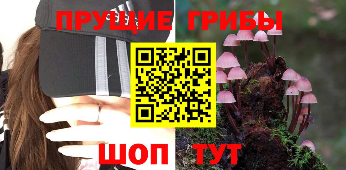 Галлюциногенные грибы мицелий Елец