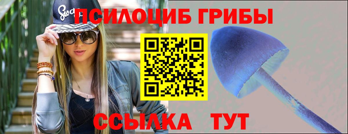 Псилоцибиновые грибы Cubensis  где можно купить наркотик  Елец  Вход с VPN 